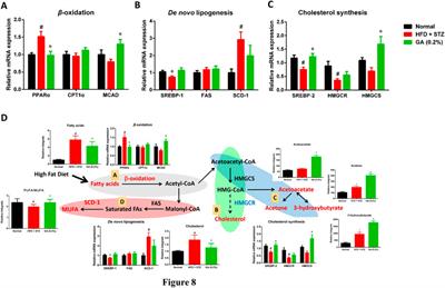 Gallic Acid Ameliorated Impaired Lipid Homeostasis in a Mouse Model of High-Fat Diet—and Streptozotocin-Induced NAFLD and Diabetes through Improvement of β-oxidation and Ketogenesis